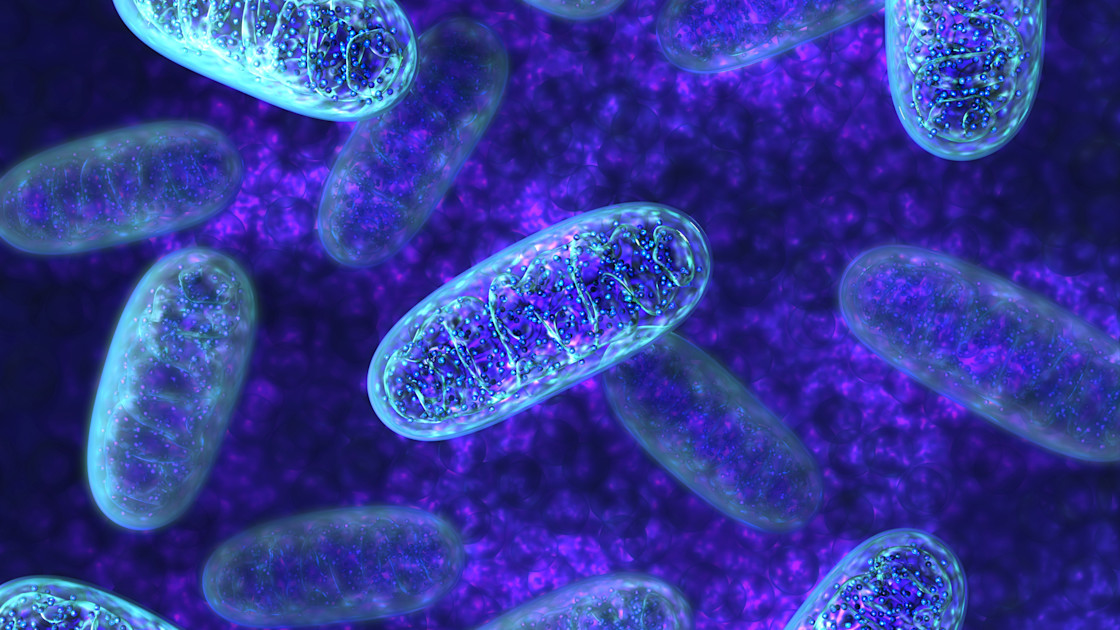 Frontiers in Science: Simple test could help track metabolic health in cancer and chronic disease
