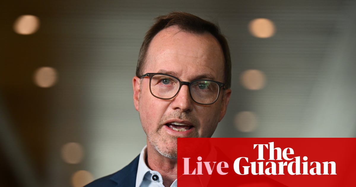 Australia news live: Shoebridge criticises Labor for delay in responding to AI; five-year-old dead after crash in Perth | Australia news