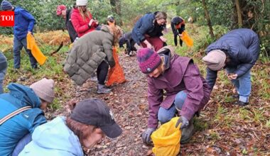 Around 100 volunteers collected 11 million seeds by hand across Scotland; nearly 8 million native trees are now being grown to rebuild its disappearing Atlantic rainforest |