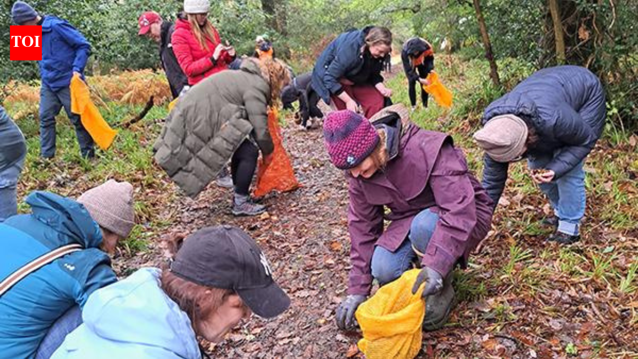 Around 100 volunteers collected 11 million seeds by hand across Scotland; nearly 8 million native trees are now being grown to rebuild its disappearing Atlantic rainforest |