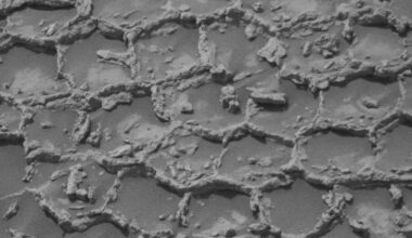 NASA's curiosity rover spots mysterious honeycomb pattern on Mars, leaving scientists puzzled over its origin