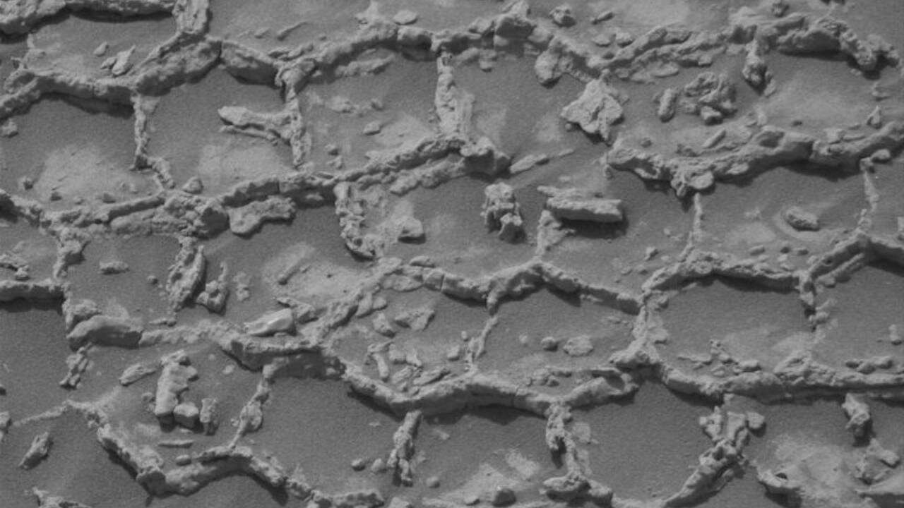NASA's curiosity rover spots mysterious honeycomb pattern on Mars, leaving scientists puzzled over its origin