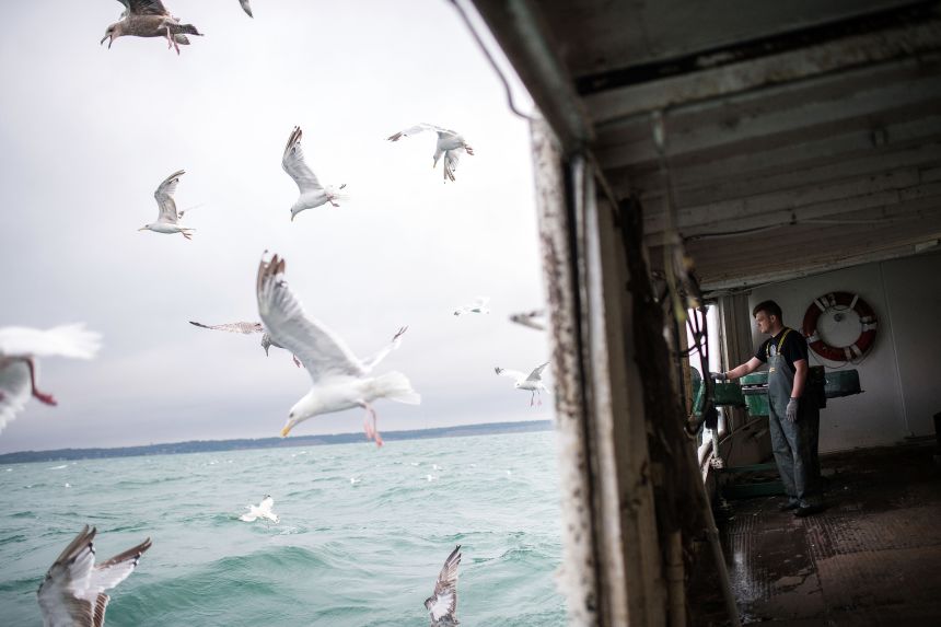 A deckhand aboard a commercial fishing boat on Lake Erie in Port Stanley, Ontario, Canada, on Aug. 22, 2018.