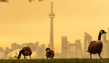 Republicans blast Canada over wildfire smoke, air quality in northern U.S.