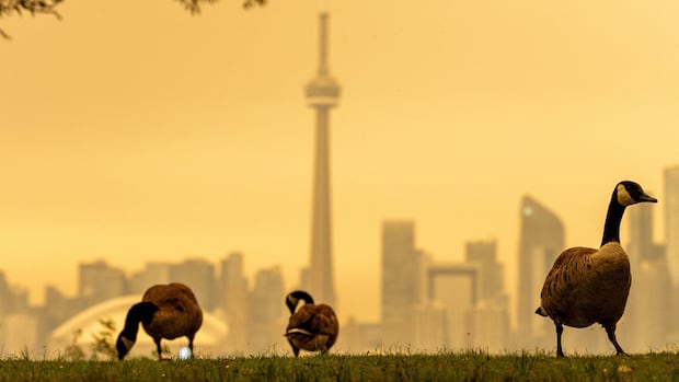 Republicans blast Canada over wildfire smoke, air quality in northern U.S.