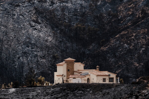 A view of a burnt area affected by wildfires in Bedar, near Almeria, Spain, Saturday, July 11, 2026. (AP Photo/Gregorio Marrero)