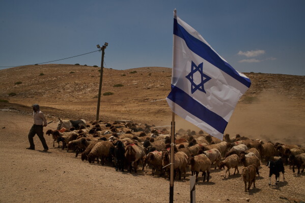 Palestinian shepherd Thiab Draghme leads his flock of sheep and goats past an Israeli flag placed on a road in the northern Jordan Valley of the occupied West Bank, Tuesday, June 23, 2026. (AP Photo/Leo Correa)