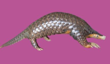 Scientists studied pangolin DNA from seven countries and rediscovered a Himalayan species that had been overlooked since 1836