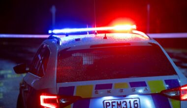 Seven youths arrested after alleged shoplifting incident in Hamilton