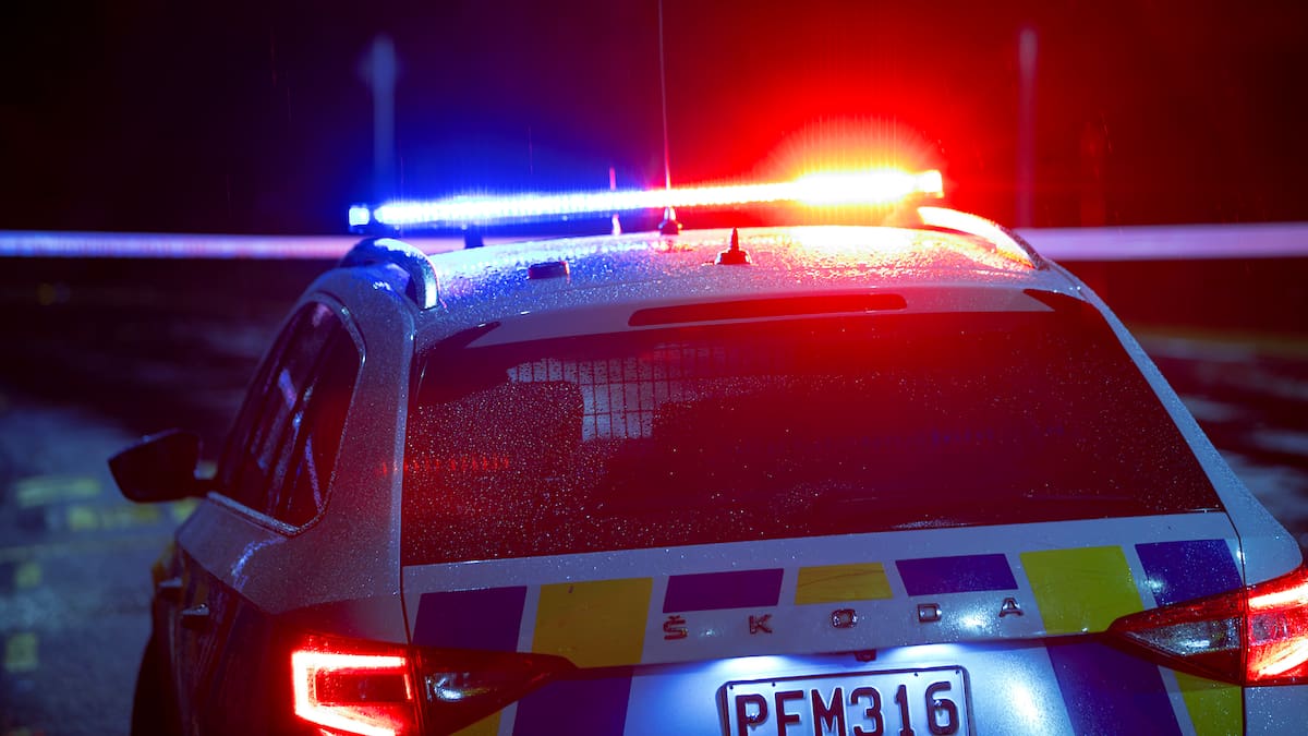 Seven youths arrested after alleged shoplifting incident in Hamilton