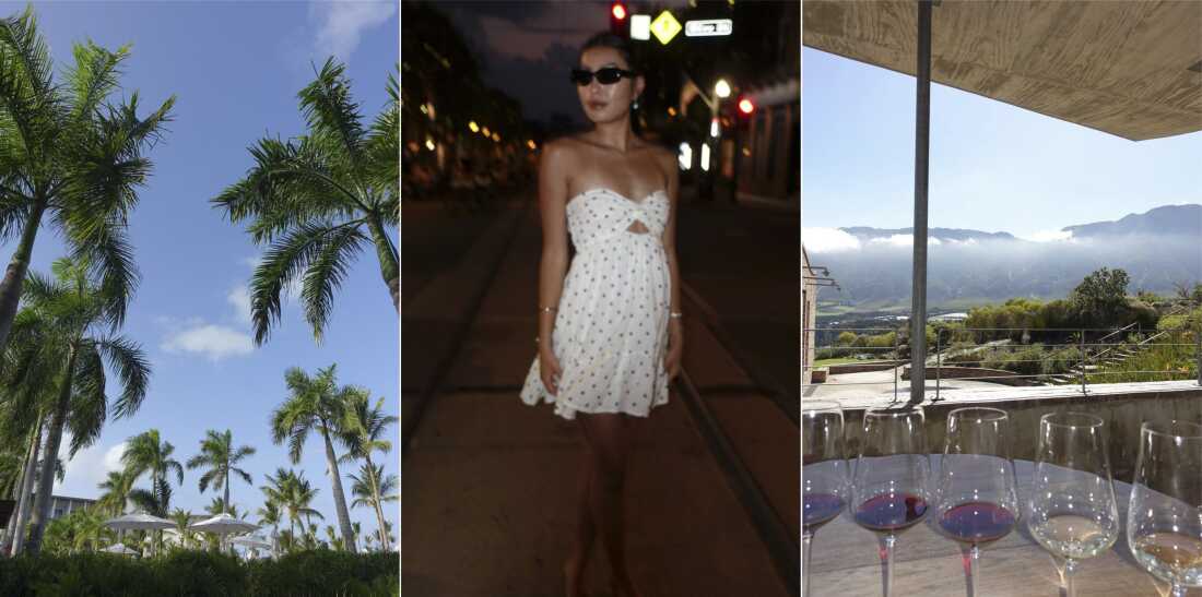 The digital camera photo on the left shows palm trees against a blue sky in the Dominican Republic. The middle digital camera photo shows Gwen Coyne wearing a short, strapless white dress and sunglasses. The digital camera photo on the right shows five wine glasses, each with a small amount of wine in it, on a table outdoors, with a hilly South African landscape in the background.