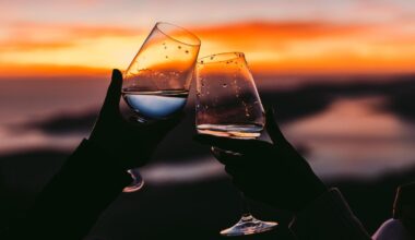 Would You Pay $225,000 To See A Rare Totally Eclipsed Sunset?