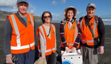 'Don't panic': The volunteers helping New Zealand prepare for bird flu