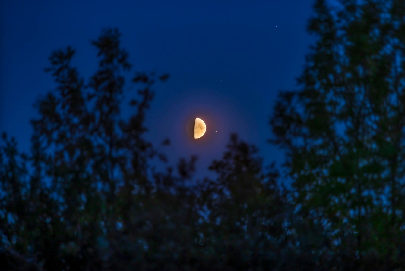 See The Moon Meet Two Of Summer’s Brightest Stars: Night Sky This Week