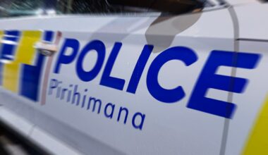 Driver accused of running over police officer’s feet in Silverstream, Upper Hutt incident