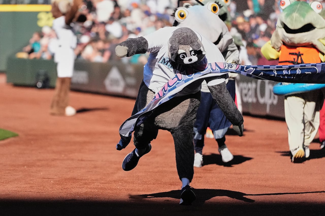 A mascot dressed as a  raccoon