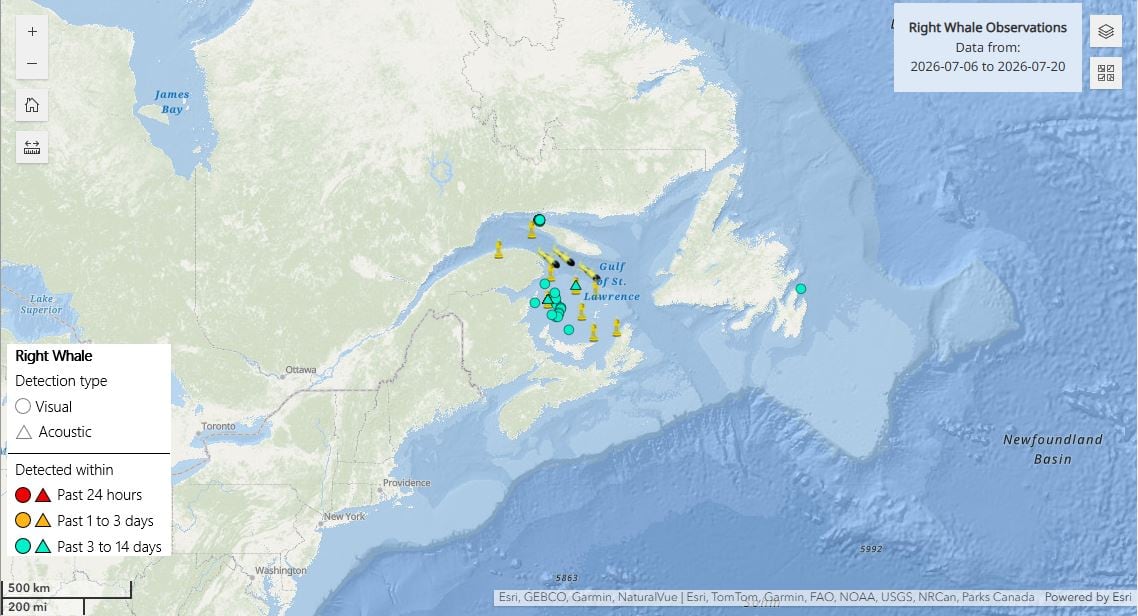 A map image with colour-coded dots. A light blue dot is marked off the Northern part of Newfoundland's Avalon Peninsula. All other markings are in the Bay of Fundy and Gulf of St. Lawrence.