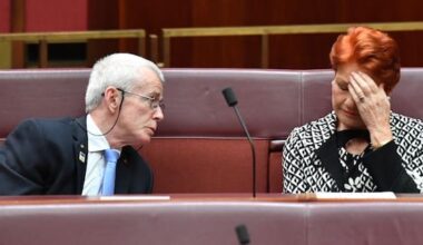 One Nation senator claimed Covid-19 deaths 'staged'
