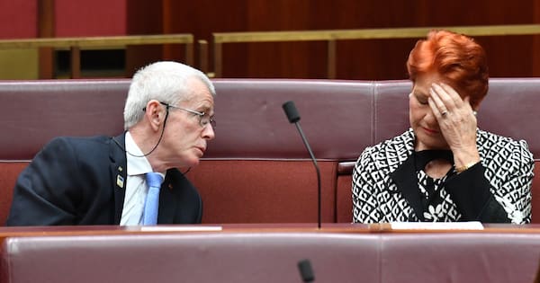 One Nation senator claimed Covid-19 deaths 'staged'