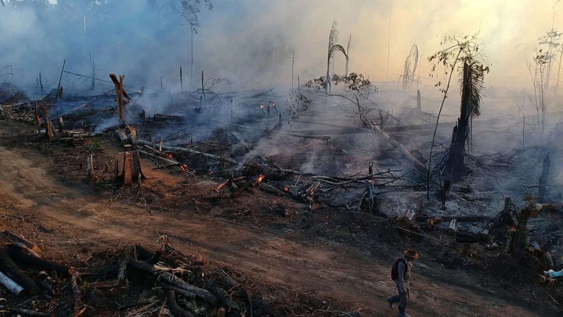Amazon forest fire (AP Photo/Edmar Barros) -