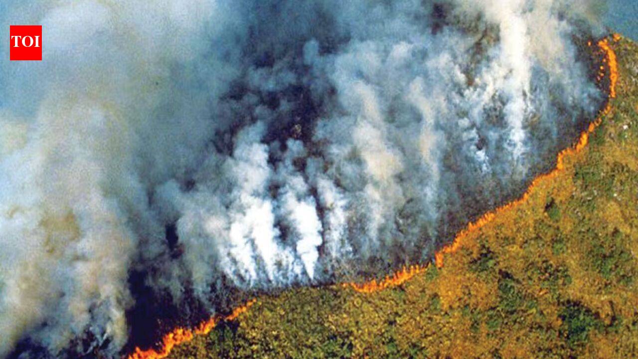 Amazon fires peaked during the 2024 drought. A year later, burned area hit its lowest level since records began in 1985
