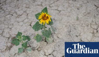 Climate crisis-driven heat ‘sucking soils dry’ as extreme drought hits Europe | Drought