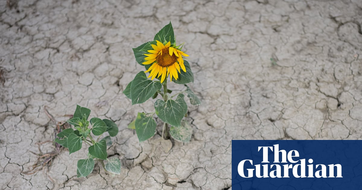 Climate crisis-driven heat ‘sucking soils dry’ as extreme drought hits Europe | Drought