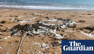 One billion plastic pellets spilled into River Tyne after two ships collide | Pollution
