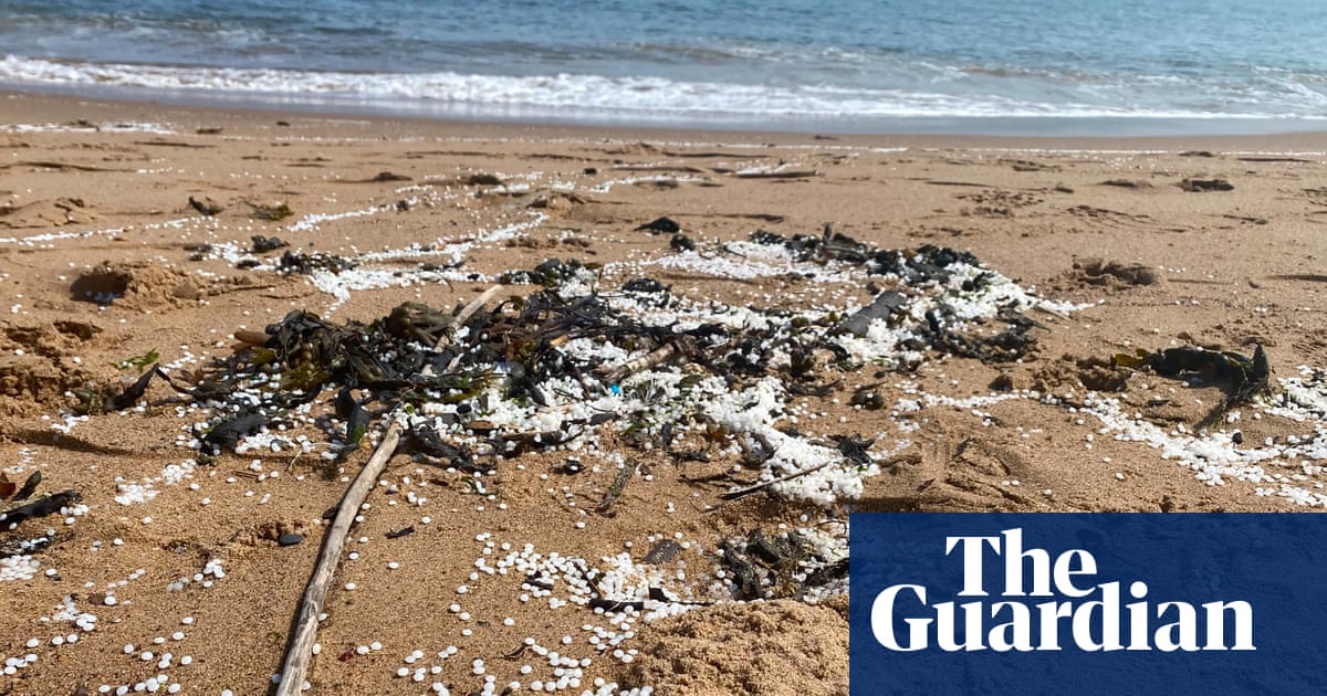 One billion plastic pellets spilled into River Tyne after two ships collide | Pollution