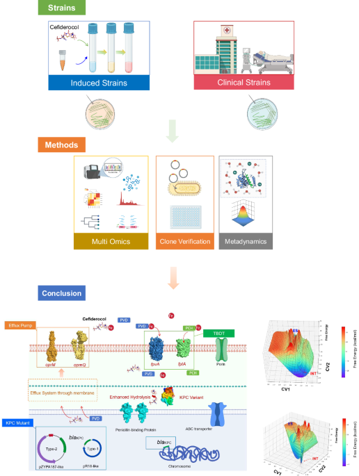 Mechanistic and evolutionary determinants of cefiderocol resistance in KPC-producing Pseudomonas aeruginosa