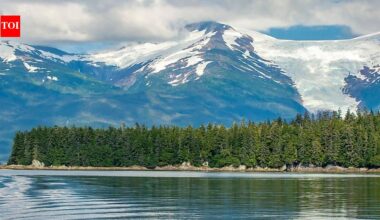 The largest national forest in the US spans 17 million acres and hides the world's biggest temperate rainforest | World News