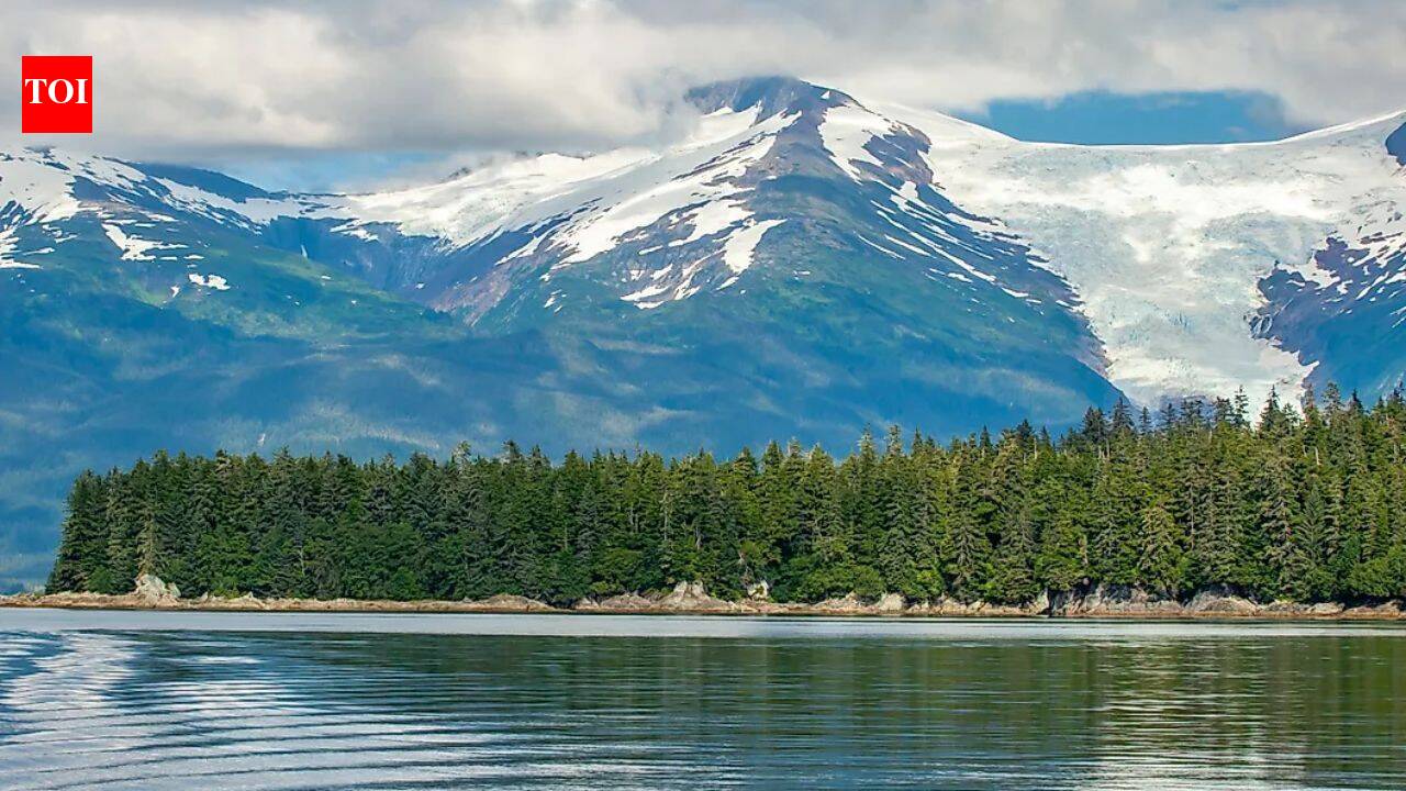 The largest national forest in the US spans 17 million acres and hides the world's biggest temperate rainforest | World News