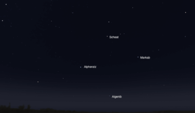 The Sky Today on Saturday, July 25: Great Square rising