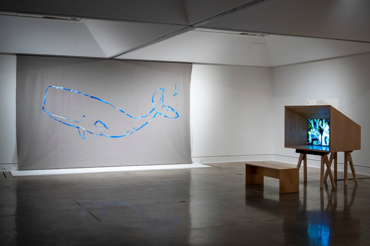 A large blue outline drawing of a whale and a white projection box.