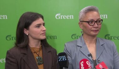 Greens push to pause big data centre consents, PM calls it 'alarmist'