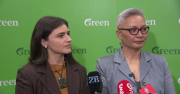 Greens push to pause big data centre consents, PM calls it 'alarmist'