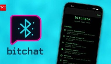 Bitchat Messaging App: India fuels Bitchat's global rise despite takedown order