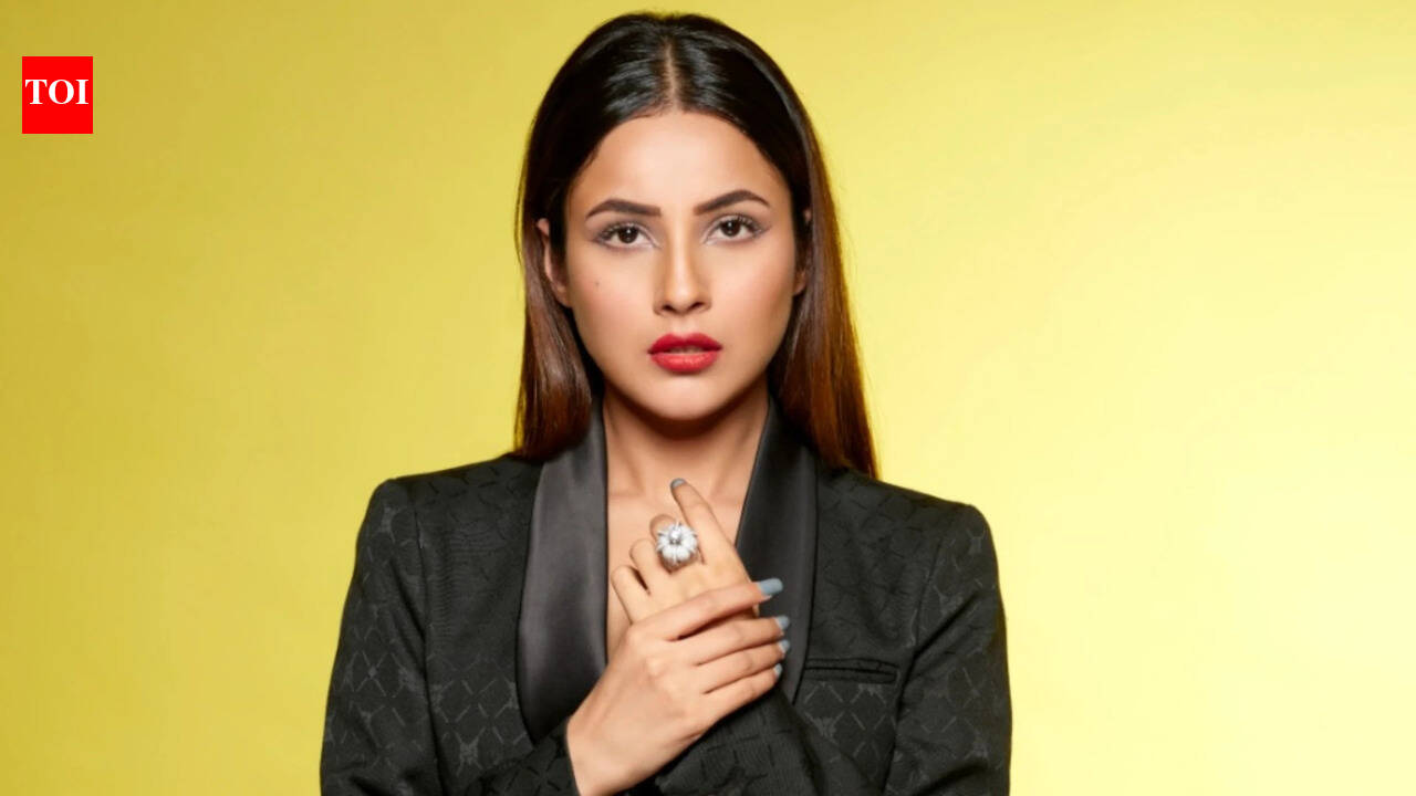 Shehnaaz Gill opens up on why Bollywood offers dried up: 'I've become star in the Punjabi film industry' |