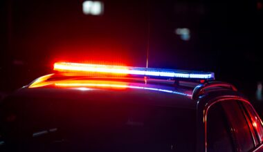 Machete-waving driver livestreamed burnouts before arrest, police allege - NZ Herald
