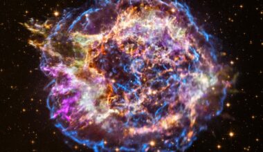 Amendment 68: New Opportunity: D.8 Habitable Worlds Observatory Precursor Science Investigations