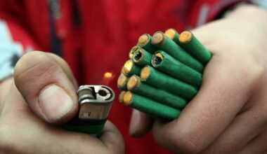 Govt stubs out backyard fireworks ban, animal welfare groups outraged