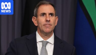 Chalmers cautious but upbeat as he scraps fuel discount amid softening inflation