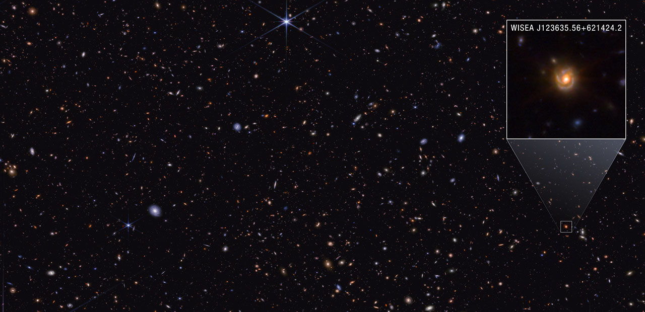 NASA Webb Explores Family Tree of Newly Discovered Distant Objects