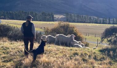 3 Beautiful Must-Try Outdoor Experiences In New Zealand