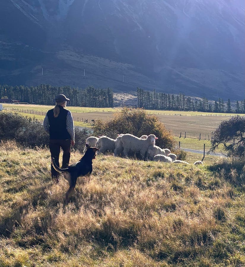 3 Beautiful Must-Try Outdoor Experiences In New Zealand