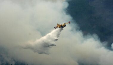 Wildfires: Prevention is the best defence, UN says