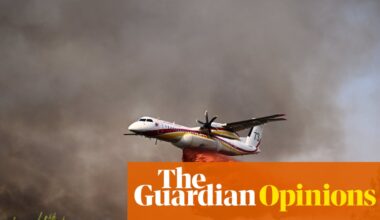 I study the boreal forest. This summer wildfires came for my home | Julee Boan