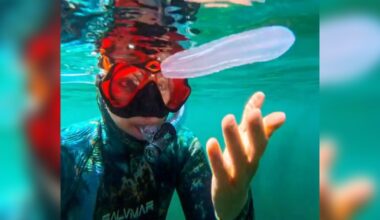 White Blob Swims By Snorkeler — Then It Starts Glowing Rainbow Before Her Eyes