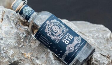 Ireland’s First Certified B Corp Distillery Doubles Down On Gin