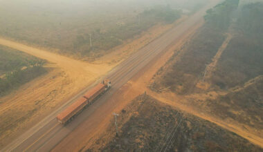 End of Brazil's Soy Moratorium risks millions of hectares of Amazon rainforest: Study